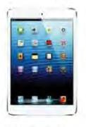 iPad Mini With Wi-Fi-16GB