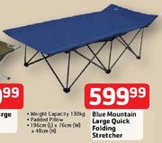 Blue Mountain Large Quick Folding Stretcher