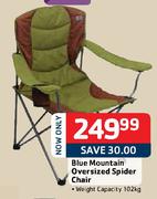 Blue Mountain Oversized Spider Chair