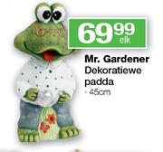 Mr.Gardener Dekoratiewe Padda-45cm Elk