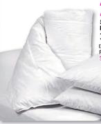 Double Feather Down Duvet Inner-Each