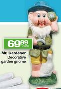 Mr. Gardener Decorative Garden Gnome