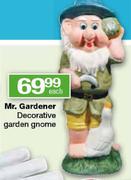 Mr. Gardener Decorative Garden Gnome