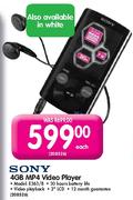Sony 4GB MP4 Video Player(E363/B)