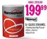 Homestead Gloss Enamel White-5Ltr