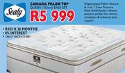 Camara Pillow Top Queen Base Set-152cm