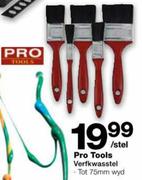 Pro Tools Verfkwasstel-Per Stel