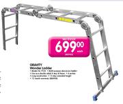 Gravity Wonder Ladder (KL 7338)-Each