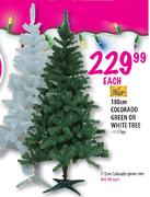 Colorado Green Tree-210cm Each