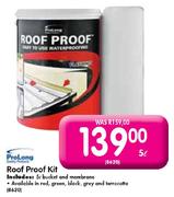 ProLong Roof Proof Kit-5Ltr