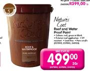Nature's Coat Roof and Water Proof Point-20Ltr