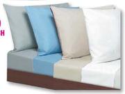 Always Home Conti Pillowcase-Each
