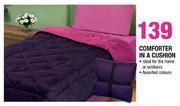 Comforter In A Cushion