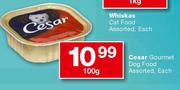 Cesar Gourmet Dog Food-100gm 
