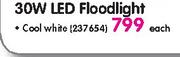 30W LED Floodlight-Each