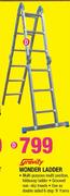 Gravity Wonder Ladder