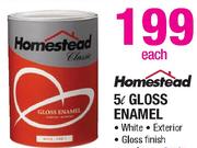 Homestead 5Ltr Gloss Enamel-Each