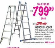 Gravity Wonder Ladder-Each