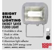 Bright Star Lighting Energy Saver Flood Light