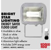 Bright Star Lighting Energy Saver Flood Light