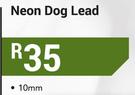 Neon Dog Lead 10mm