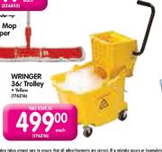 Wringer Trolley-36ltr