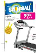 Dunlop Pro Slam Swingball Set