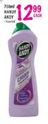Handy Andy-750ml Each