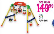 Little One Play Gym