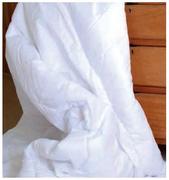 Always Home Standard Pillow-Each