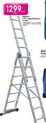 Gravity 5 In 1 Step/Extension Ladder-Each