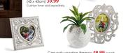 Faux Succulent