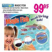 Magic Fish