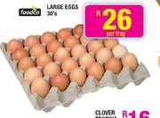 Foodco Large Eggs-30's Per Tray