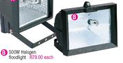 Eurolux 500W Halogen Floodlight-Each