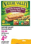 Nature Valley Granola Bars-42gm