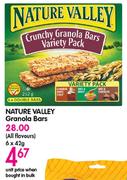 Nature Valley Granola Bars-6x42gm