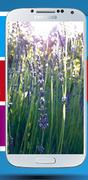 Samsung Galaxy S4 19500 32GB/16GB LTE 19505-On Samart XL