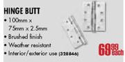 Hinge Butt 100x75x2.5mm-Each
