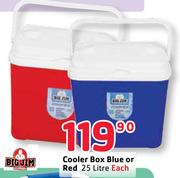 Big Jim Cooler Box Blue Or Red-25ltr Each
