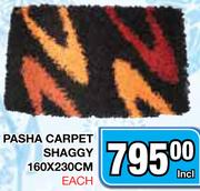 Pasha Carpet Shaggy 160x230Cm