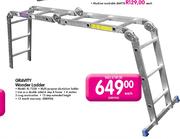 Gravity Wonder Ladder 