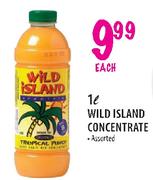 Wild Island Concentrate Assorted-1 Ltr each