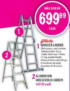 Gravity Wonder Ladder-Each