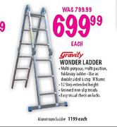 Gravity Wonder Ladder-Each