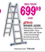 Gravity Wonder Aluminium Ladder-Each