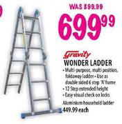 Gravity Wonder Ladder