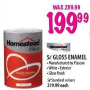 Homestead Gloss Enamel White-5Ltr
