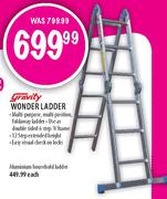 Gravity Wonder Ladder