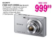 Sony Cyber-Shot Camera (DSC-W610SLV)